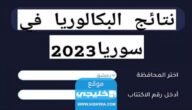 “ورد الآن√” رابط نتائج البكالوريا 2023 سورية بالاسم عبر موقع وزارة التربية السورية moed.gov.sy