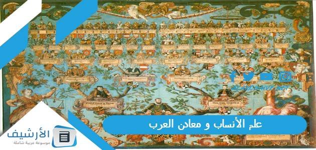 علم الأنساب و معادن العرب.. تعريف علم الأنساب