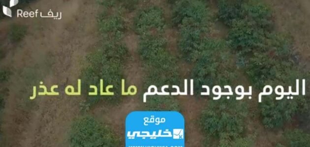 رابط التقديم على دعم ريف 1445 في السعودية reef.gov