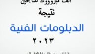 رابط نتيجة الدبلومات الفنية 2023 برقم الجلوس لاستخراج نتائج دبلوم الصنايع والزراعة والتجارة والسياحة والفنادق
