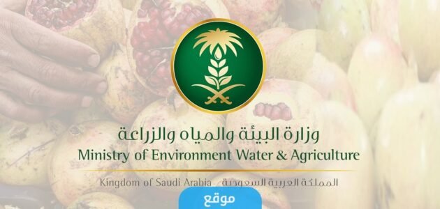 شروط دعم الفواكه في السعودية 1444 وكم تبلغ قيمة الدعم؟!