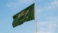 هل السعوديون فعلا عرب؟ و لكن أشكالهم الشبيهه بالهنود لا توحي ذلك