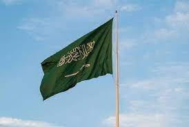 هل السعوديون فعلا عرب؟ و لكن أشكالهم الشبيهه بالهنود لا توحي ذلك