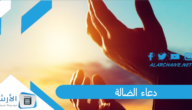 دعاء الضالة.. هل دعاء الضالة صحيح؟