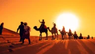 عائلة الطشه في الكويت من اي قبيلة
