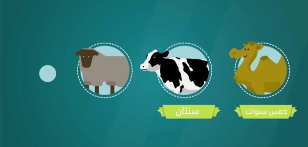 ما هو الطعام الذي يجوز اكله ويحرم بيعه