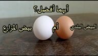 ما الفرق بين البيض الابيض والاحمر