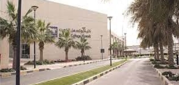 شروط القبول في كلية بوكسهل boxhill college الكويت 2023 / 2024