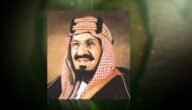 ما المجال الذي جعله الملك عبدالعزيز اساس القضاء