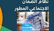 موعد نزول الضمان المطور لشهر أغسطس آب 1445/2023 في السعودية