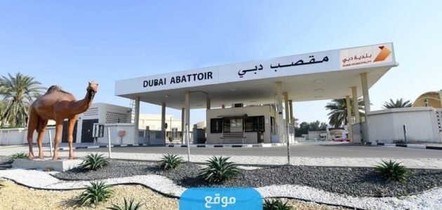 اسعار المواشي في الإمارات 2023 ارتفاع الأسعار مع اقتراب عيد الأضحى 1 اسعار المواشي في الإمارات 2023 ارتفاع الأسعار مع اقتراب عيد الأضحى