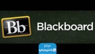 بلاك بورد جامعة الملك فيصل تسجيل الدخول 1445