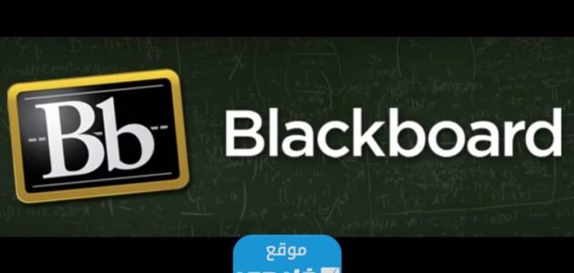 بلاك بورد جامعة الملك فيصل تسجيل الدخول 1445