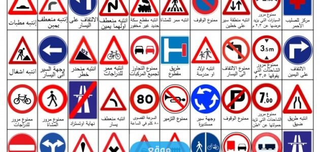 امتحان تؤوريا: استخراج نتائج امتحان تؤوريا 2023 في فلسطين عبر موقع وزارة النقل والمواصلات