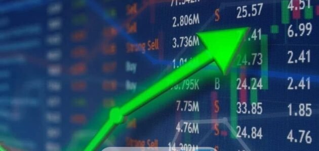 ما حكم اكتتاب السيف غاليري 1445