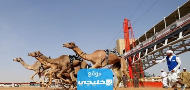 جدول سباق الهجن في قطر 2024/2023 مع المواعيد