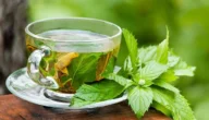 فوائد شرب النعناع قبل النوم وما هي الآثار الجانبية