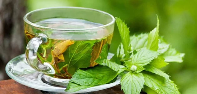 فوائد شرب النعناع قبل النوم وما هي الآثار الجانبية