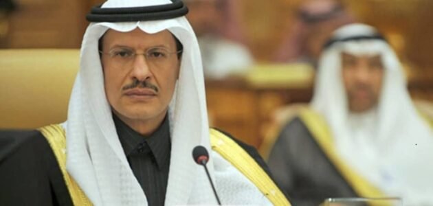 من هو الأمير عبدالعزيز بن سلمان بن عبدالعزيز آل سعود وزير الطاقة السعودي الجديد