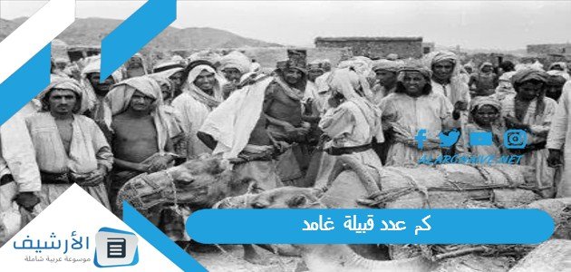 كم عدد قبيلة غامد؟ وكم رقم قبيلة غامد؟