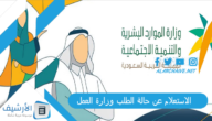 الاستعلام عن حالة الطلب وزارة العمل 2023 الامارات.. كيف استعلم عن معامله في مكتب العمل؟
