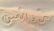 حي عينك وش ردها – خليجنا