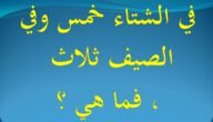 لغز في الشتاء خمس وفي الصيف ثلاث فما هي