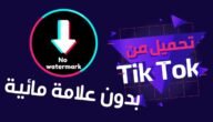 تحميل فيديو من التيك توك_بدون علامة مائية