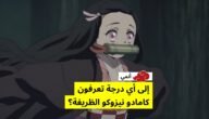 كم طول نيزوكو – خليجنا