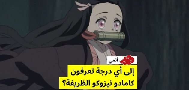 كم طول نيزوكو – خليجنا