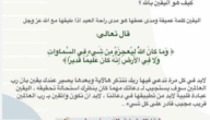 أدعية لتقوية الإيمان.. دعاء اليقين وحسن الظن بالله