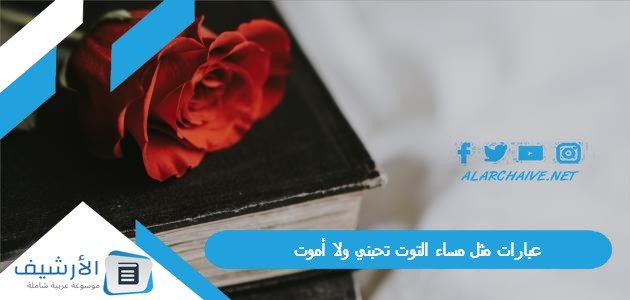 عبارات مثل مساء التوت تحبني ولا أموت