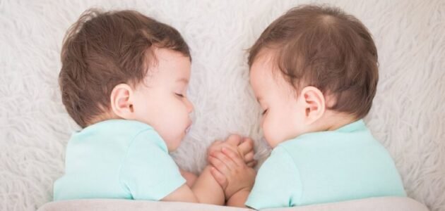 تجربتي مع سيدوفاج والحمل بتوأم الحقيقية