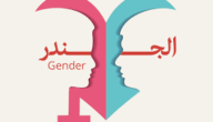 ما معنى الجندره – خليجنا