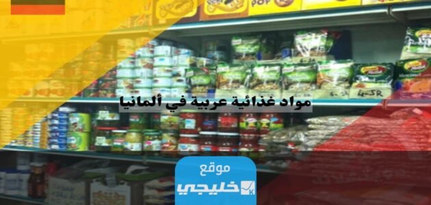 افضل 5 مواقع تسويق منتجات عربية في المانيا