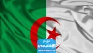 رابط موقع نتائج البكالوريا 2023 في الجزائر bac.onec.dz