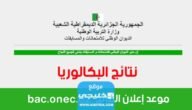 لينك نتائج البكالوريا 2023 في الجزائر bac.onec.dz موقع وزارة التربية الوطنية الجزائرية