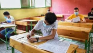 fany.emis.gov.eg رابط NOW بوابة التعليم الفني 2023 نتيجة الدبلومات الفنية بالاسم ورقم الجلوس