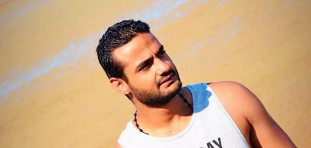 من هو الفنان احمد قنديل ويكيبيديا