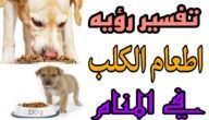 ما هو تفسير حلم إطعام الكلاب في المنام بالتفصيل