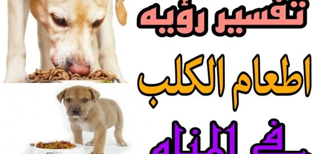 ما هو تفسير حلم إطعام الكلاب في المنام بالتفصيل