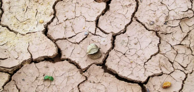 ما هو تفسير حلم انهيار الأرض في المنام للمرأة الحامل والرجل بالتفصيل