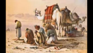 ما هو ما هو اصل عائلة الطشه في الكويت