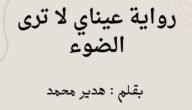 قراءة وتحميل رواية عيناي لا ترى الضوء pdf