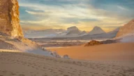 المدلج وش يرجعون، ما هو اصل عائلة المدلج من وين