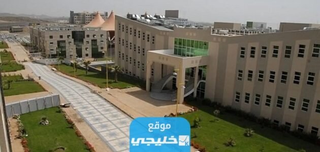 من هنا.. رابط نتائج قبول جامعة الملك خالد 1445