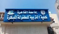ما هي كلية تربية طفولة مبكرة وهل لها مستقبل
