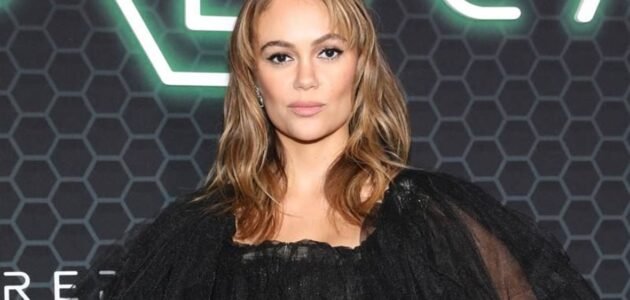 من هي دينا الشهابي ويكيبيديا