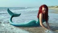 هل حوريات البحر حقيقة أم خرافه