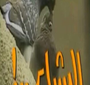 كم عدد حلقات مسلسل البشاير